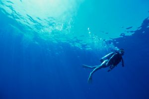 дайвинг марса алам